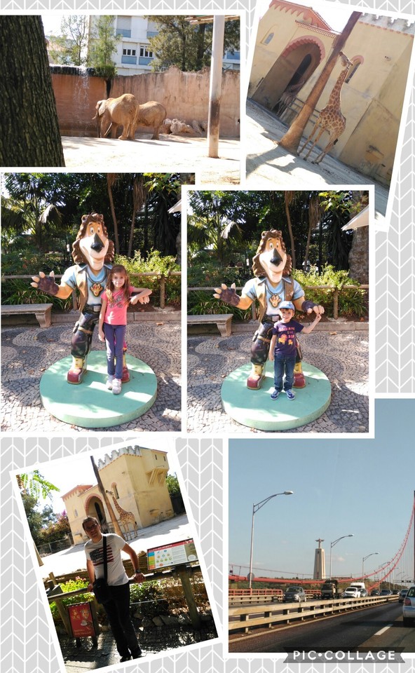 Collage 2017-08-31 23_29_53.jpg