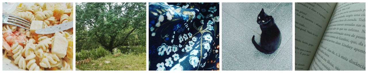 PicMonkey Collage6.jpg