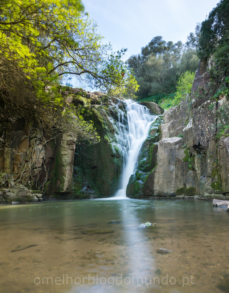 DSC08542.jpg DSC08542.jpg