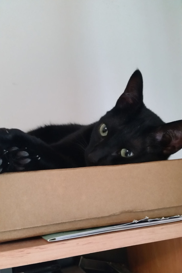 carinhalaroca.jpg carinhalaroca.jpg