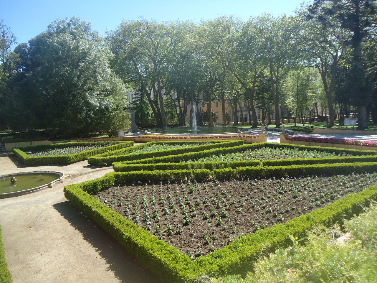 DSC06053.JPG DSC06053.JPG