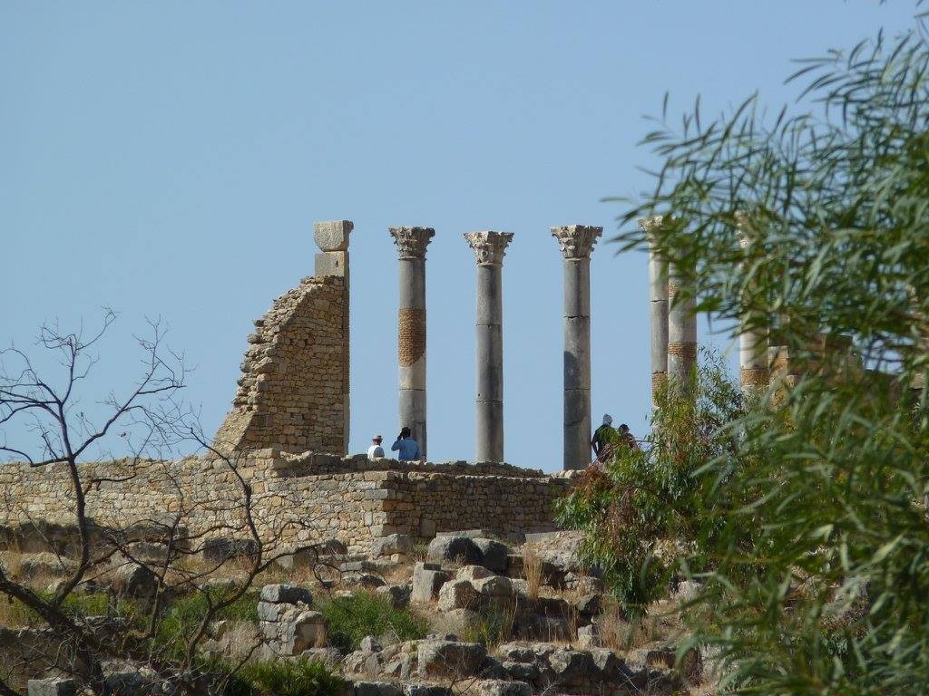 Volubilis (1).jpg