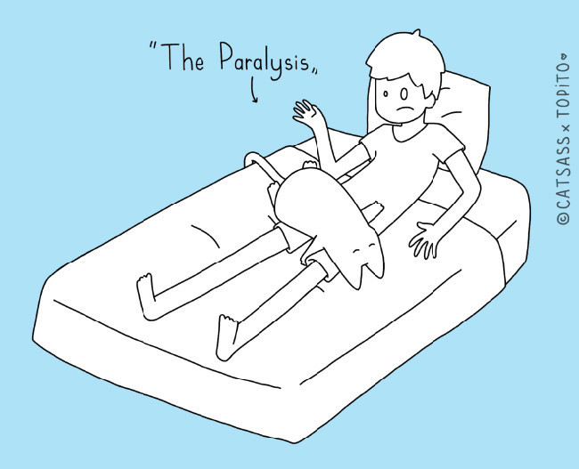 Cat Ass-09.jpg Cat Ass-09.jpg