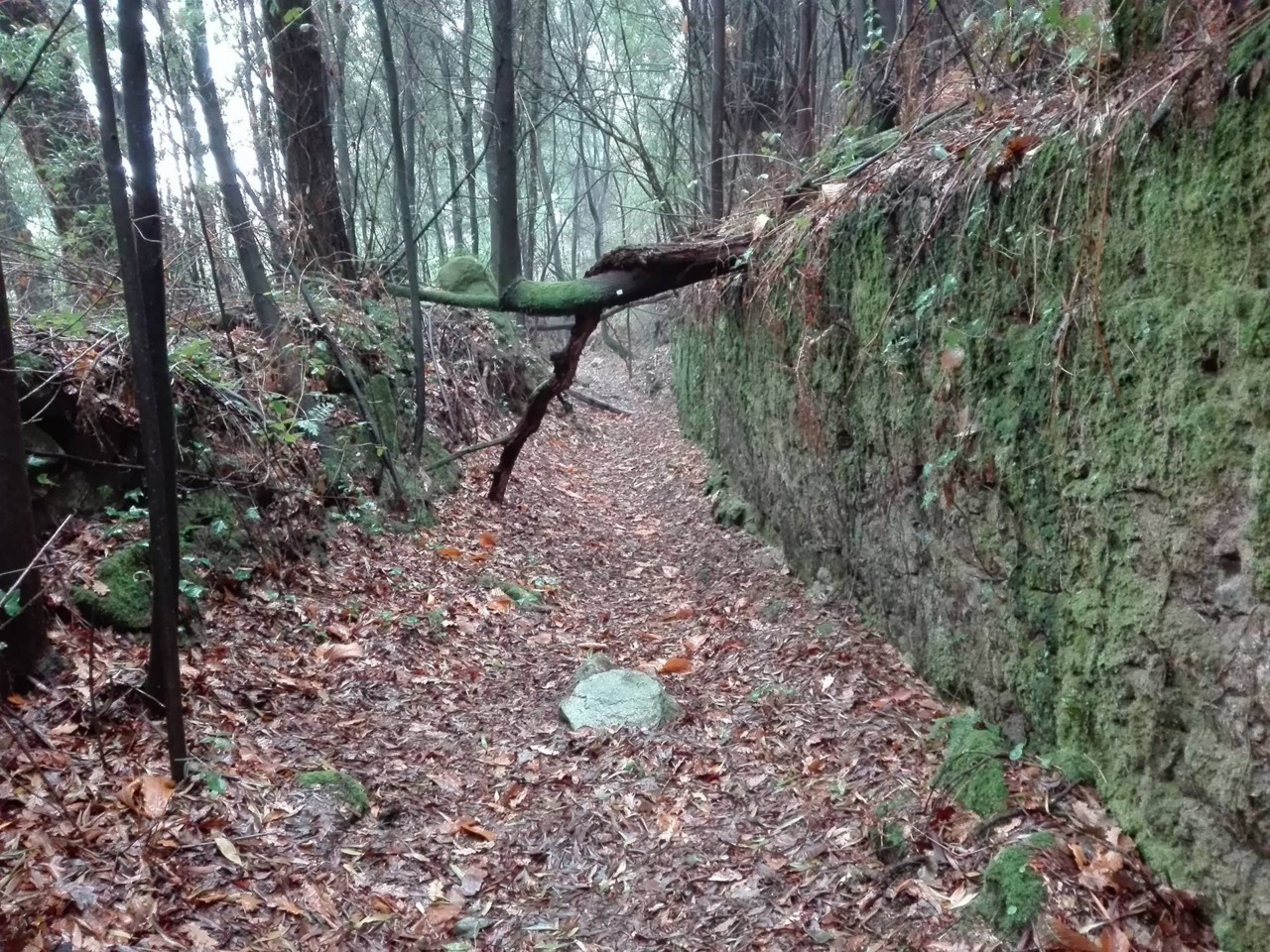 25319912_10215362661090575_206435873_o.jpg 25319912_10215362661090575_206435873_o.jpg