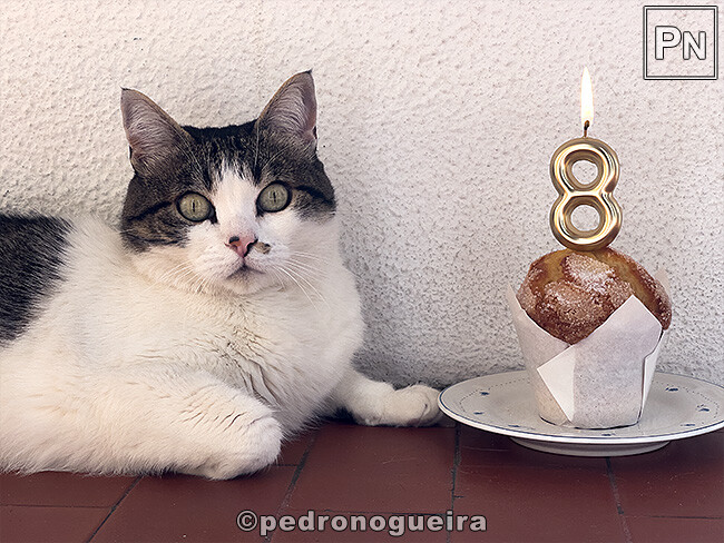 Abr_2024_035 650px.jpg