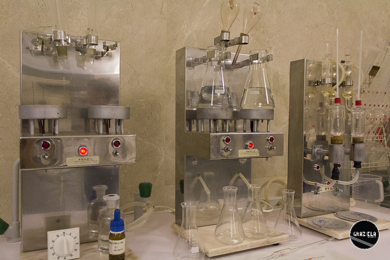 Campo_Maior_Originais-001066.jpg Campo_Maior_Originais-001066.jpg