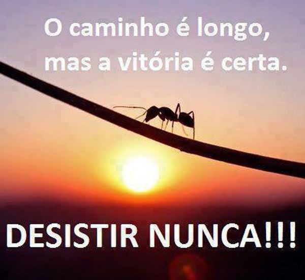 40ae0a78f0e1a4a55707fc52b484bf83--posts-facebook.j