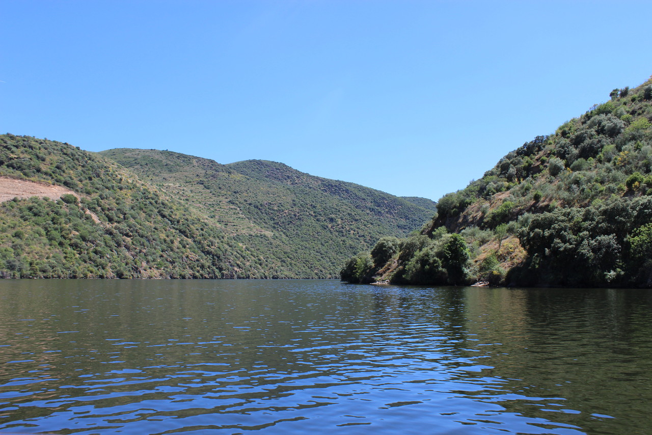 6º Festival do Vinho do Douro Superior - 2017 6º Festival do Vinho do Douro Superior - 2017