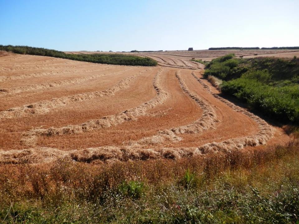 13620872_1227197557291833_5127635726826196050_n.jp 13620872_1227197557291833_5127635726826196050_n.jp