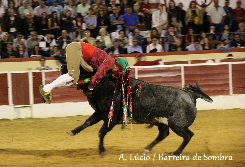 IMG_6937.JPG IMG_6937.JPG