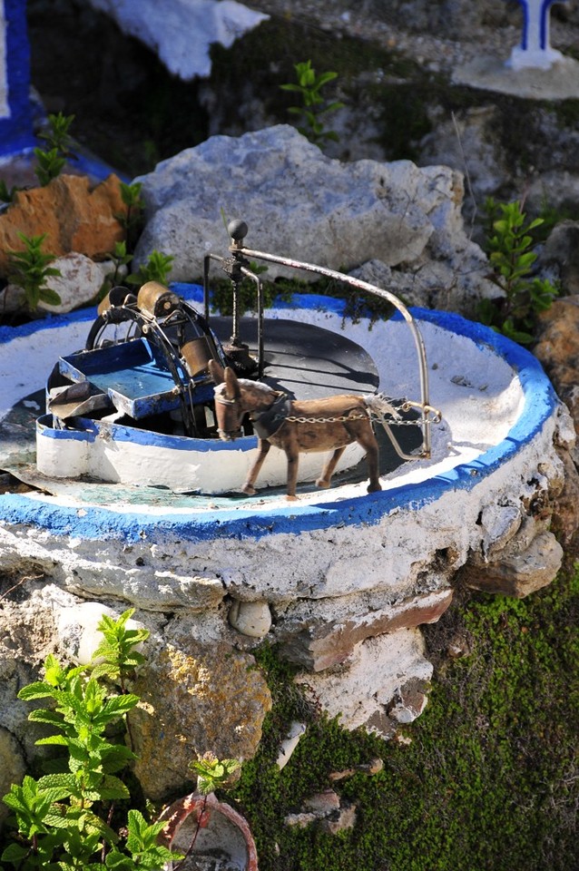 _DSC8943.jpg _DSC8943.jpg