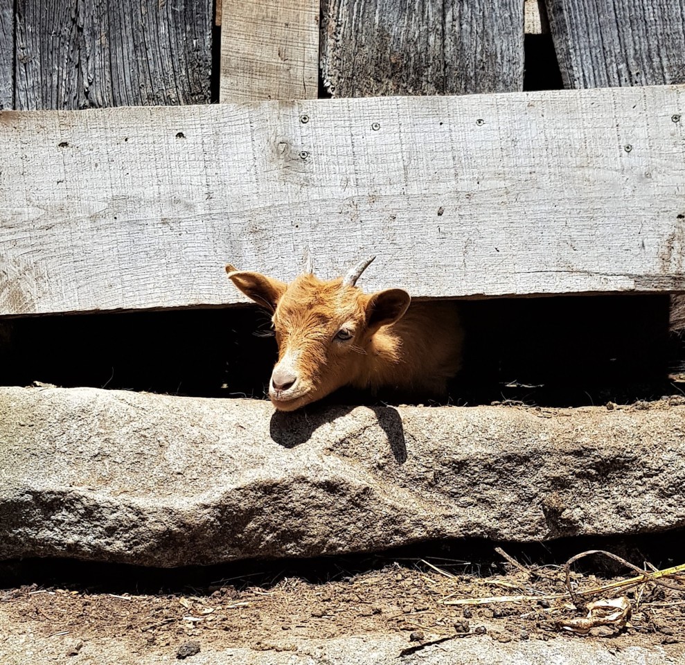 20180616_123604.jpg 20180616_123604.jpg