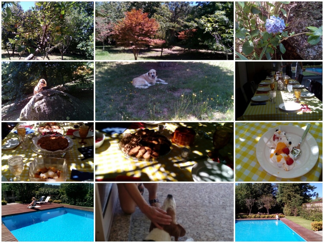 1501017560270.jpg 1501017560270.jpg