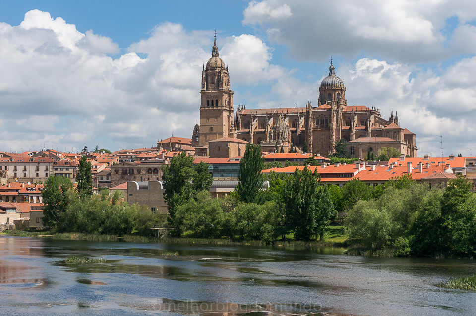 DSC02963.jpg DSC02963.jpg