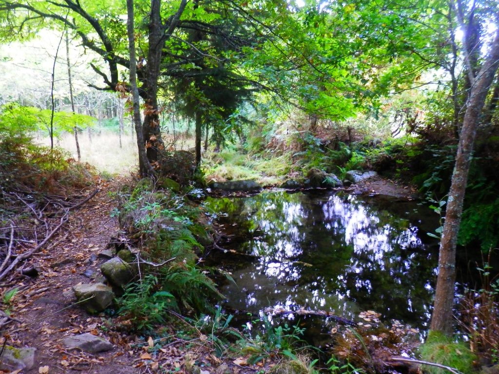 P9120577.JPG P9120577.JPG