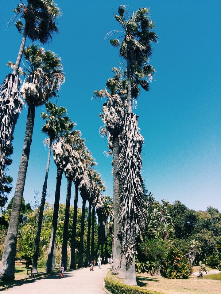 2015-05-31 07.48.07 1.jpg