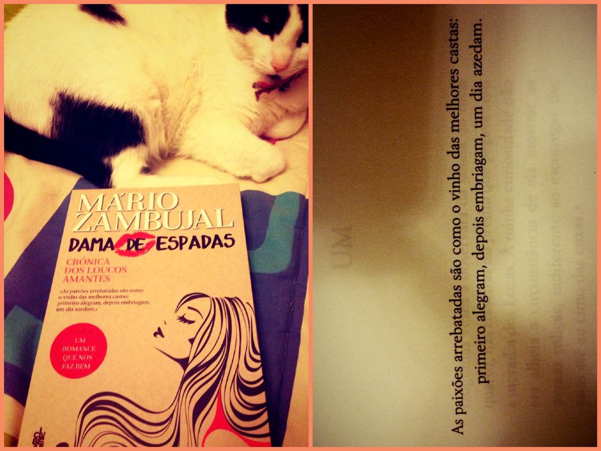 leitura.jpg leitura.jpg