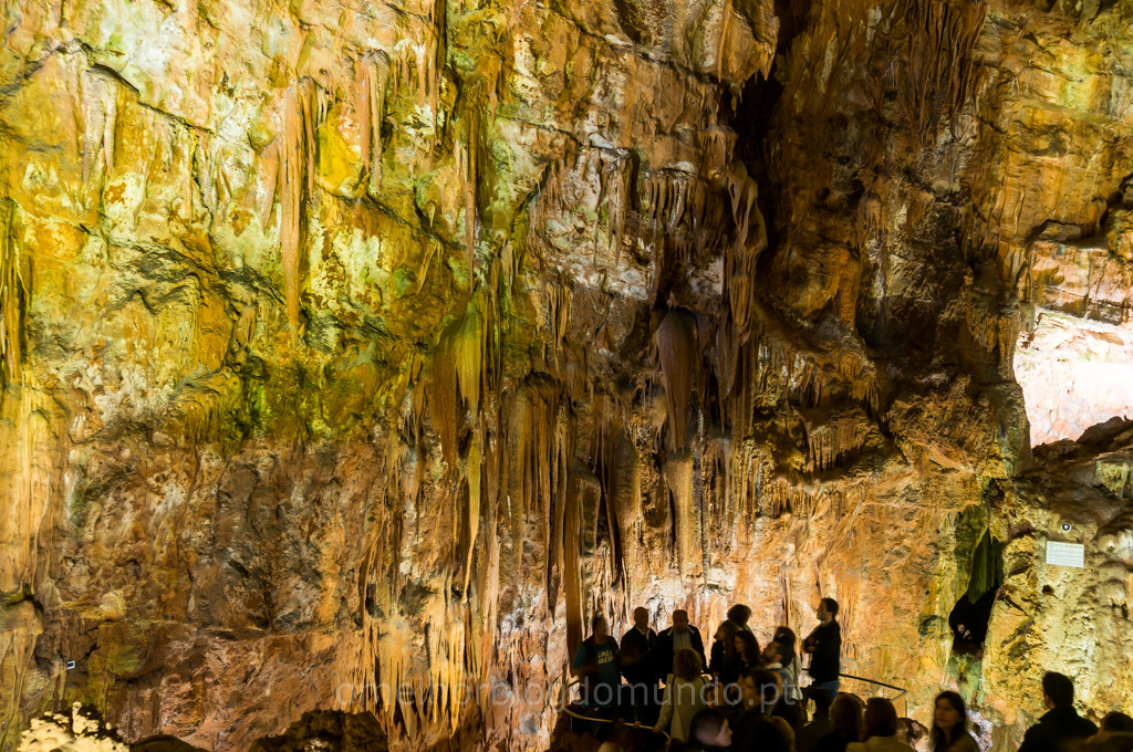 _DSC7065.jpg _DSC7065.jpg