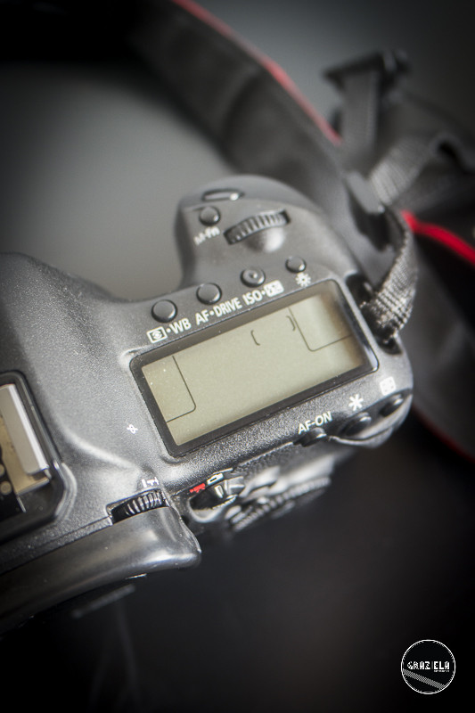 Canon_5D_MarkIII-0012.jpg Canon_5D_MarkIII-0012.jpg