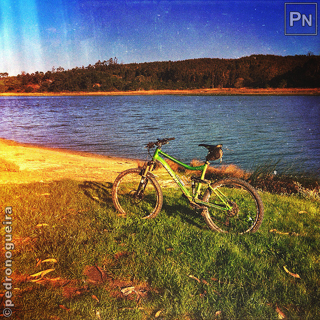 Fev_2017_032c 650px.jpg