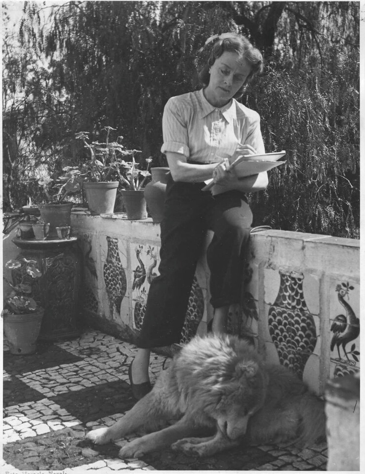 598138997_122264745938021078_6997910927549357292_n