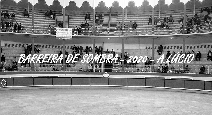 IMG_4594.JPG IMG_4594.JPG