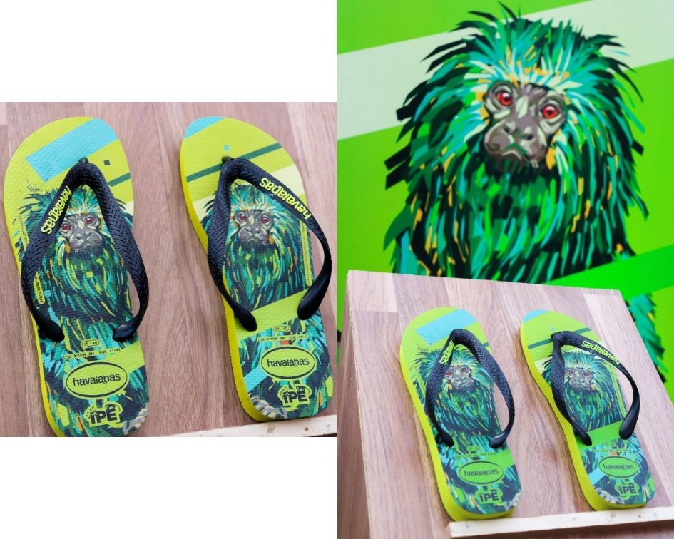 MicoLeãoPreto|HavaianasIPÊ2019.jpg