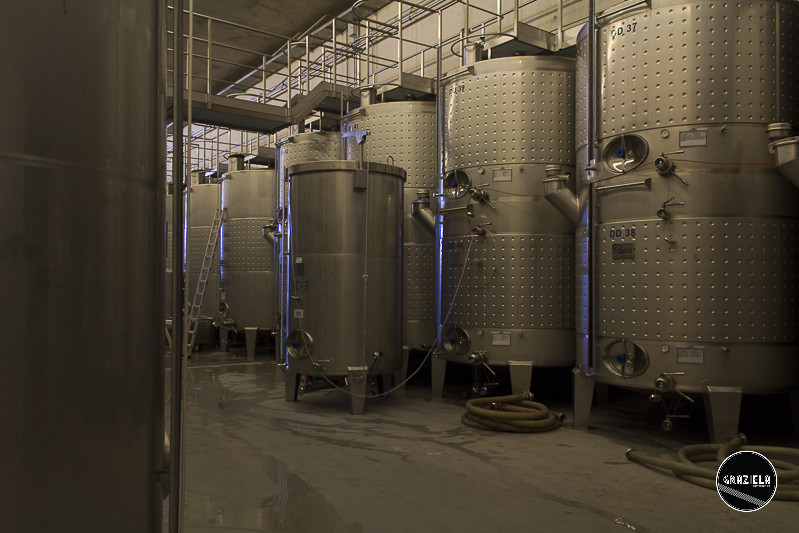 Campo_Maior_Originais-000999.jpg Campo_Maior_Originais-000999.jpg