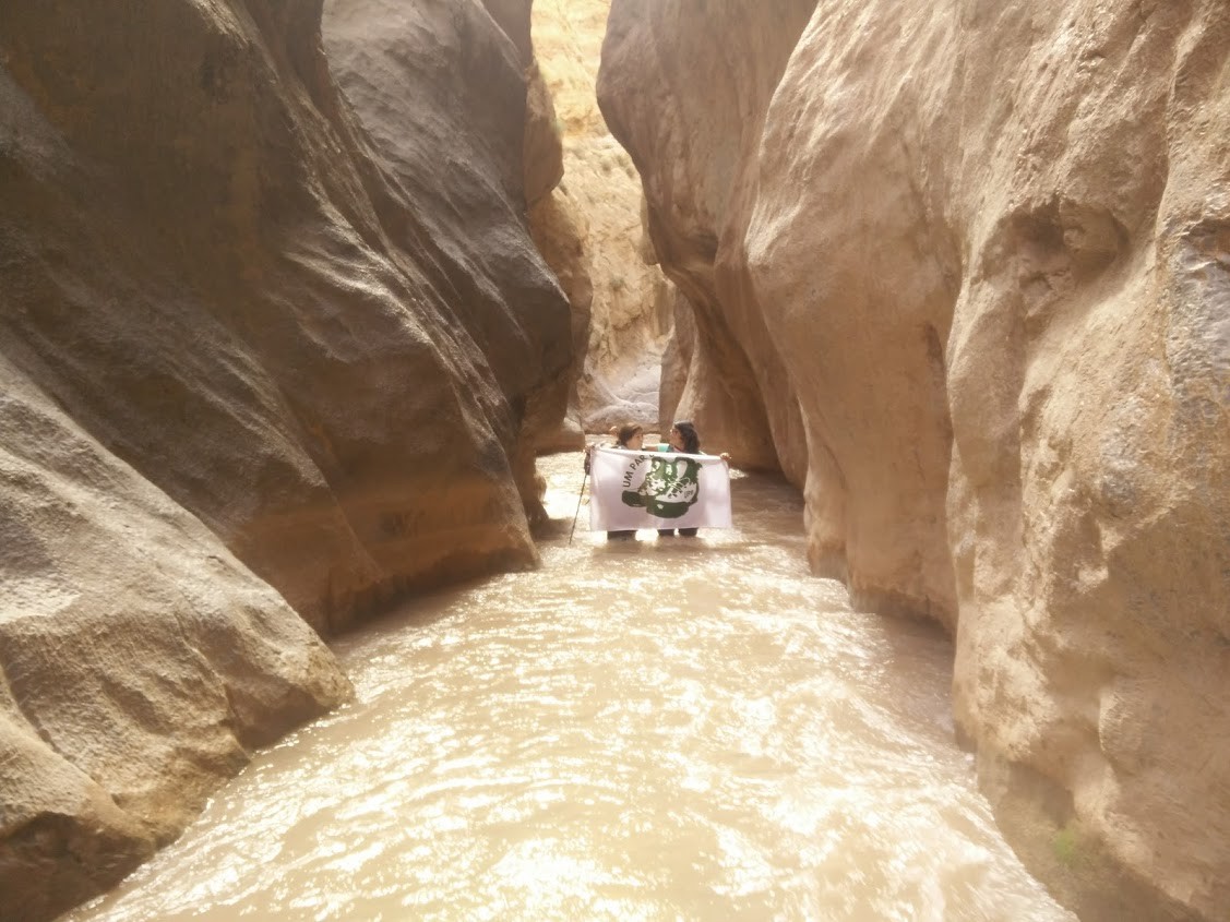 IMG_20170621_091144.jpg IMG_20170621_091144.jpg