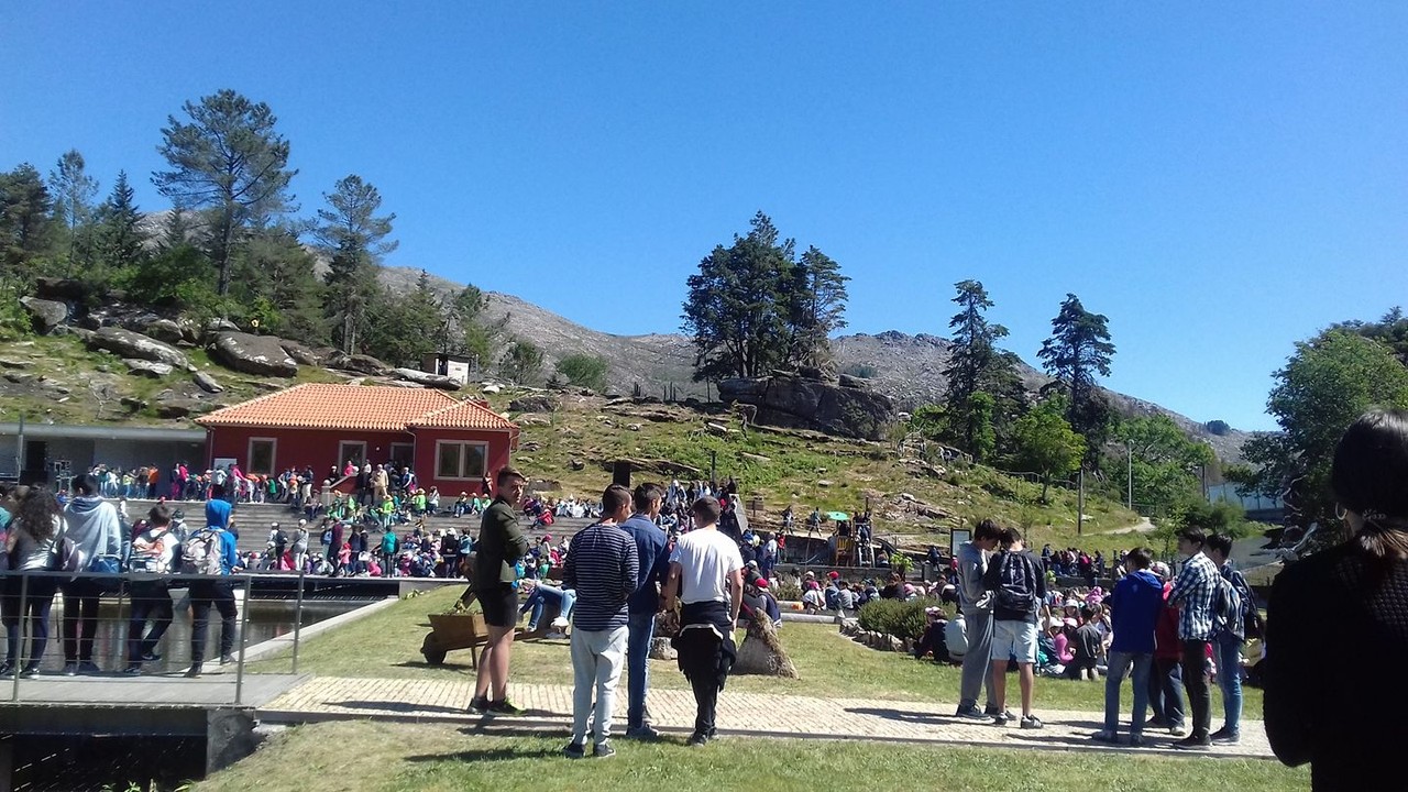 18156488_1702919296391519_2989466587144550411_o.jp