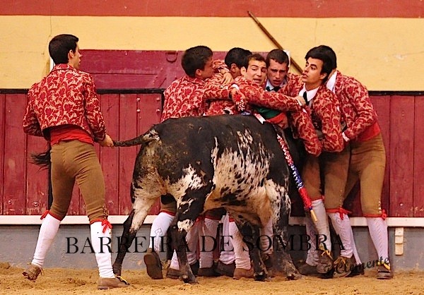 barreira de sombra34-34-59-DSC_9905.JPG barreira de sombra34-34-59-DSC_9905.JPG