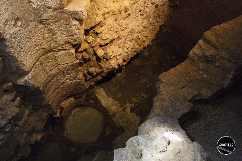 _MG_9734-25.jpg _MG_9734-25.jpg