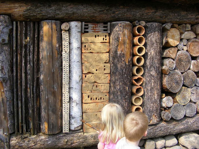 insect hotel.jpg