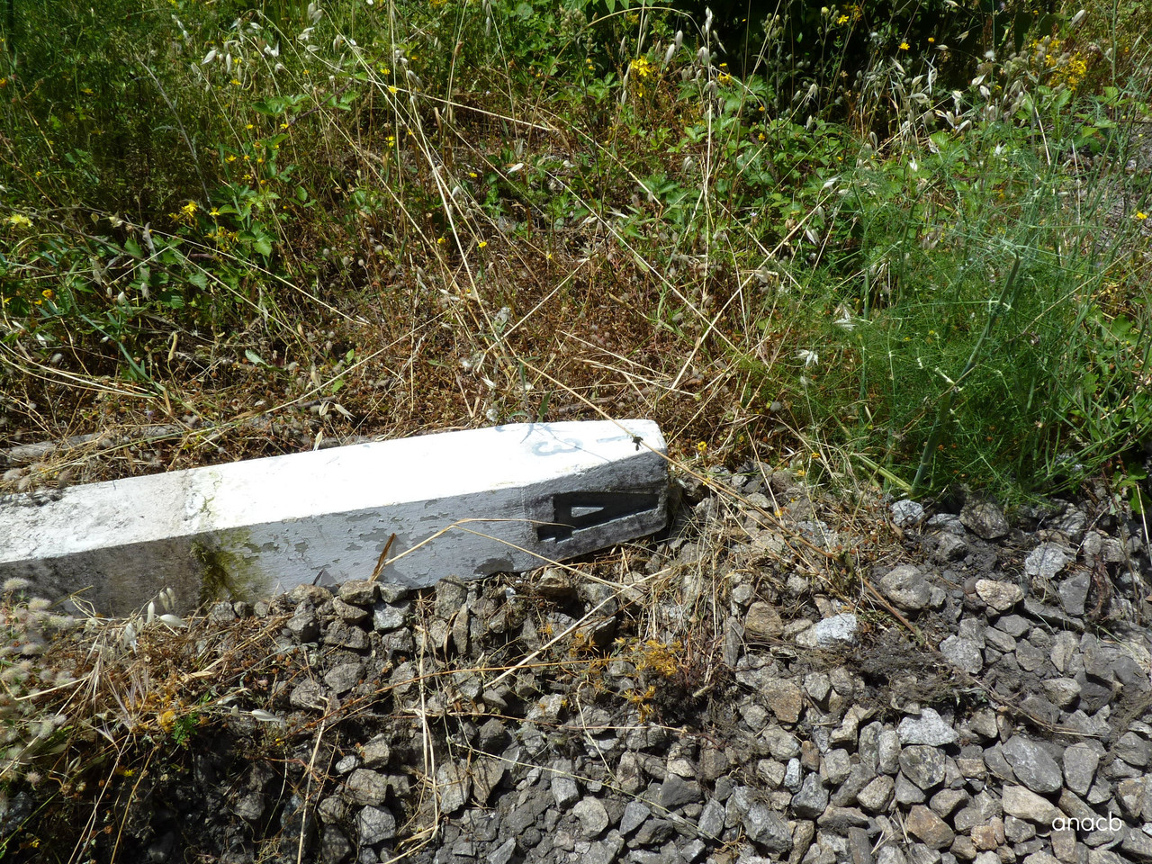 Passeio na antiga linha do Tua, Junho 2016