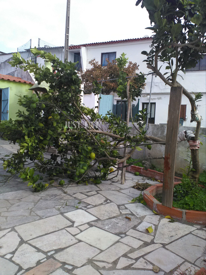 Just Mom by Mom Sandra