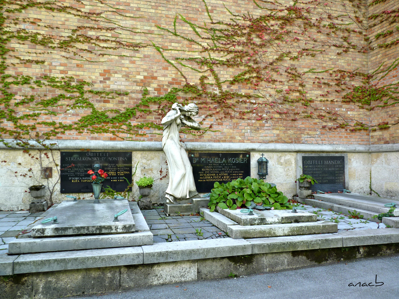 P1370978 cópia assin.jpg