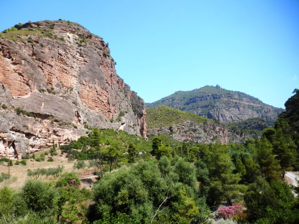 P7301510.JPG P7301510.JPG