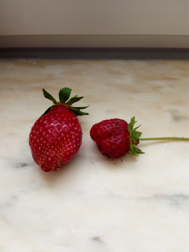 IMG_20180603_123306.jpg IMG_20180603_123306.jpg