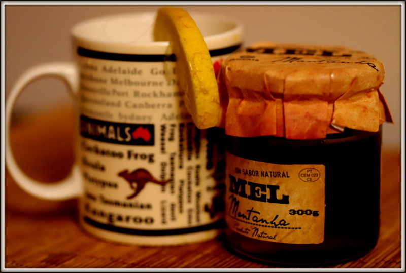 IMG_5451.JPG IMG_5451.JPG