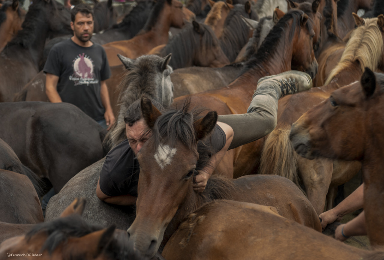 1600-rapa-bestas-17 (309).jpg