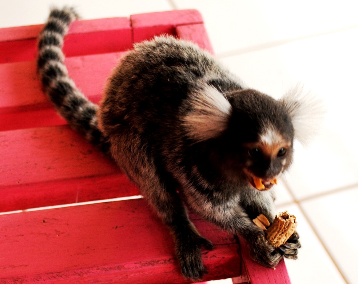 Brasil Nordeste 06.JPG