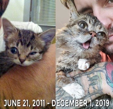 lilbut.jpg lilbut.jpg