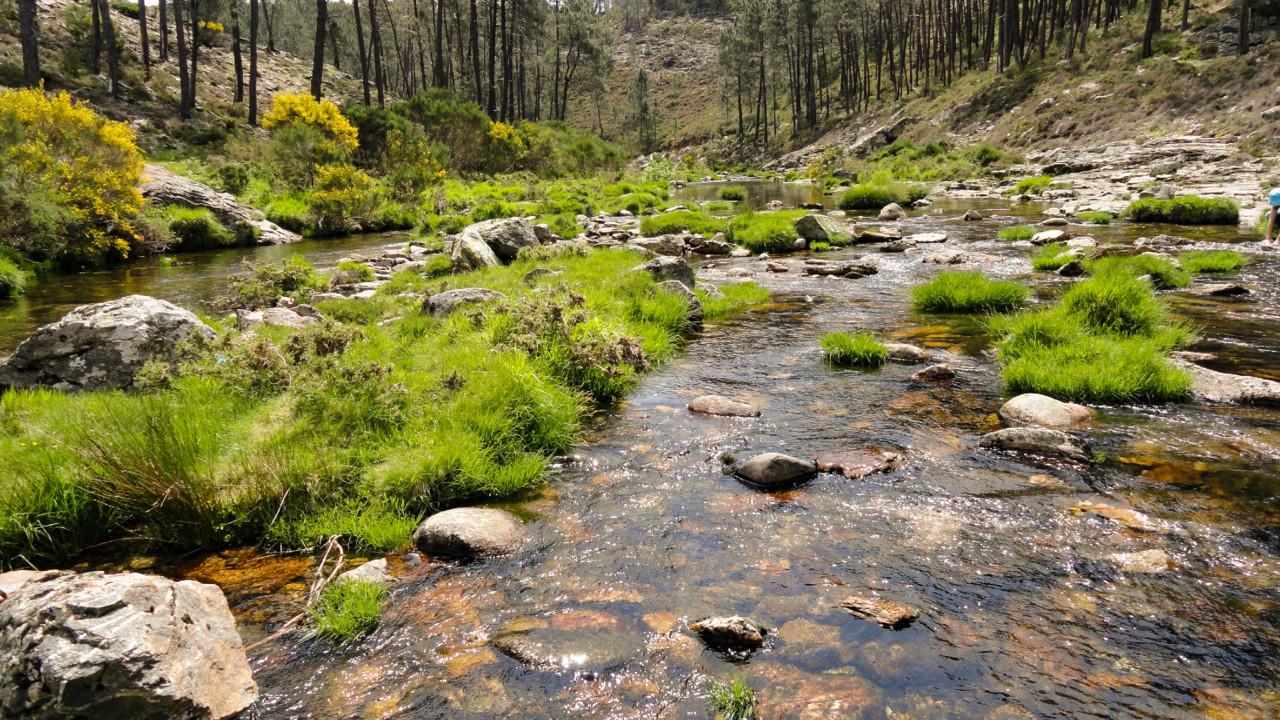 Rio Serra do Alvão.jpg