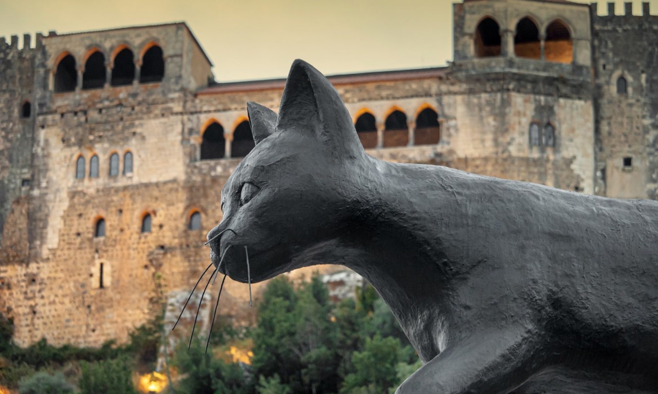 117384749_3513234162029834_35353159534049967_o-200 117384749_3513234162029834_35353159534049967_o-200