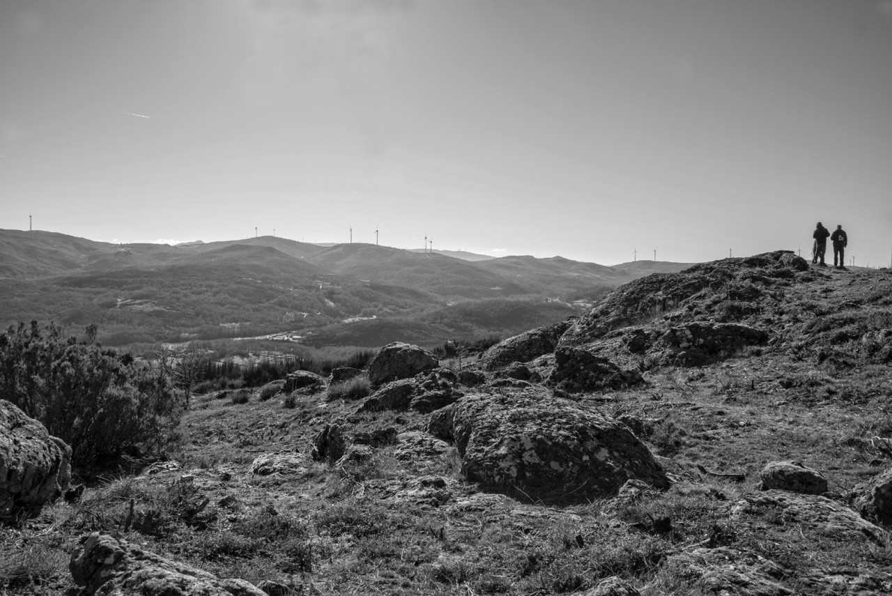 _JMF0983 - cópia copy.jpg