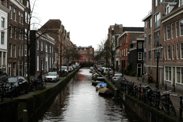 IMG_1499.JPG IMG_1499.JPG