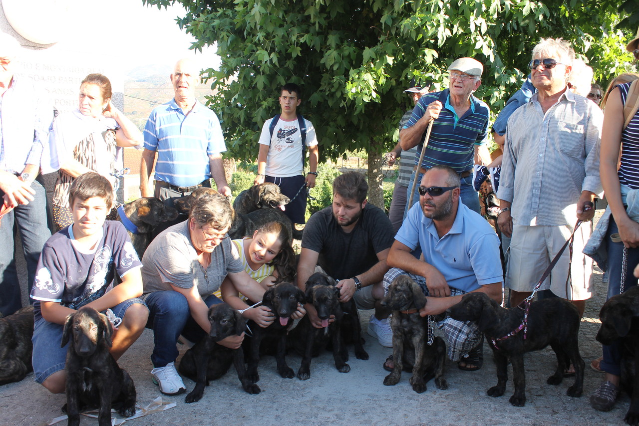 IMG_0629.JPG IMG_0629.JPG