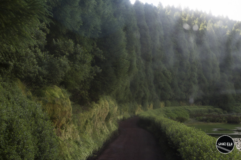 Acores_Sao_Miguel_Graziela_Costa-9705.jpg