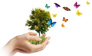 Criatividade 006.jpg