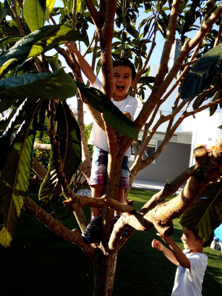 IMG_20180717_190338.jpg IMG_20180717_190338.jpg